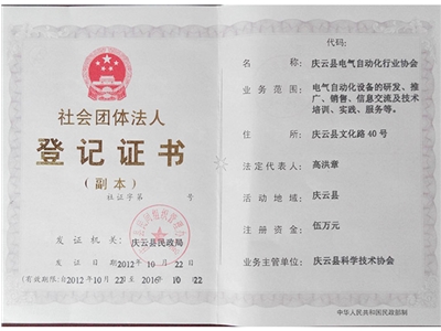 電氣自動化行業(yè)協(xié)會副本